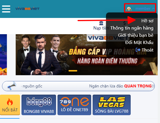 hướng dẫn lấy lại mật khẩu viva88