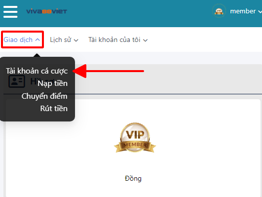 hướng dẫn lấy lại mật khẩu viva88